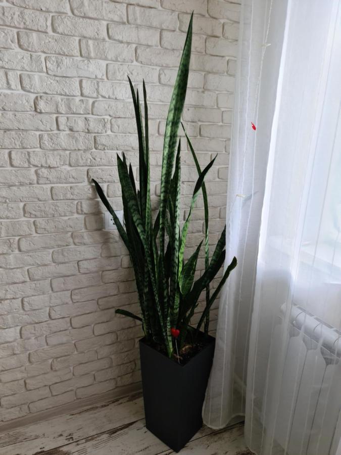 Prime Apartments Grodno Exterior foto